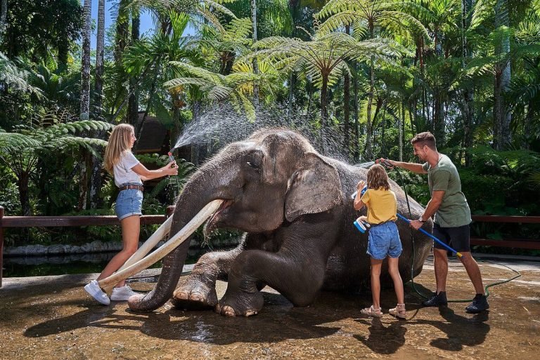 Mason Elephant Park: Family Fun and Learning in Bali- Activities with Elephant